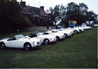 Eighteen Old English White MGA’s