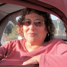 JULY/AUGUST 2017, VOL 42 NO 6